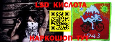 шишки Кимры