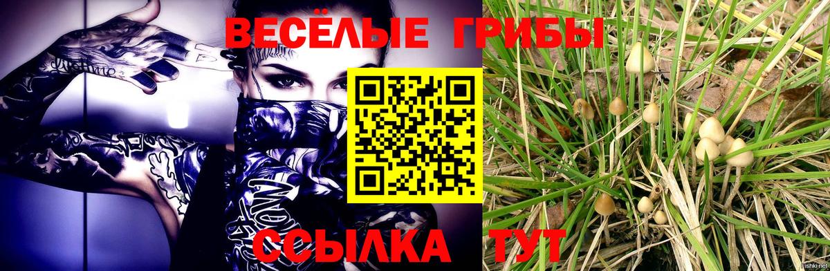 Псилоцибиновые грибы мицелий  Вход с VPN  Галлюциногенные грибы Cubensis  Кировск 